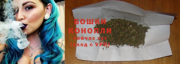 молекула духа Богородицк