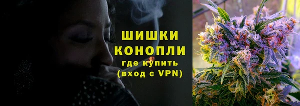 мдпв Бородино