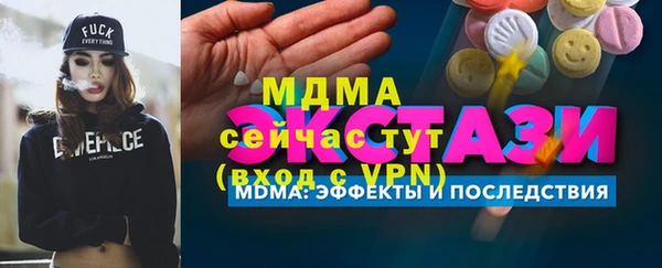 мдпв Бородино