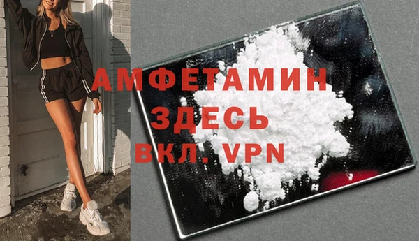 молекула духа Богородицк