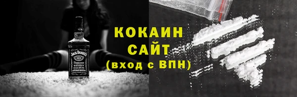 молекула духа Богородицк