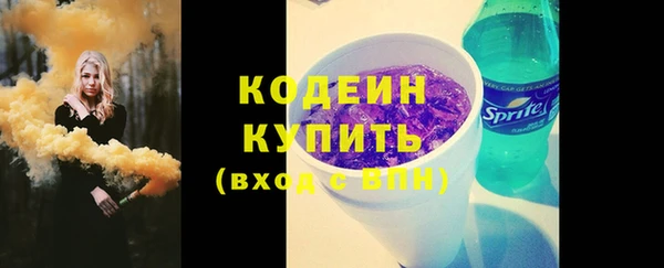 молекула духа Богородицк