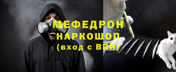 мдпв Бородино