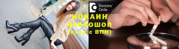 молекула духа Богородицк