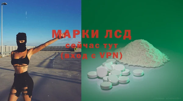 мдпв Бородино