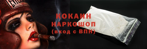 молекула духа Богородицк