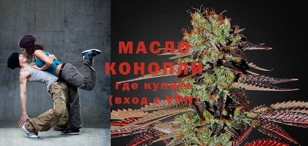 молекула духа Богородицк