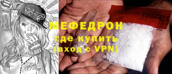 молекула духа Богородицк